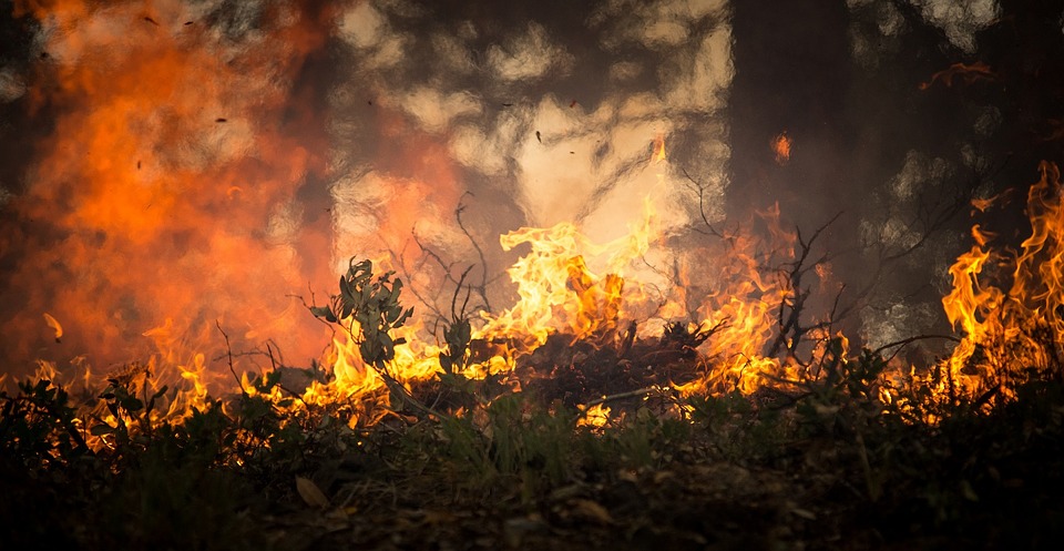Portugal : un millier de pompiers combattent les incendies de forêt