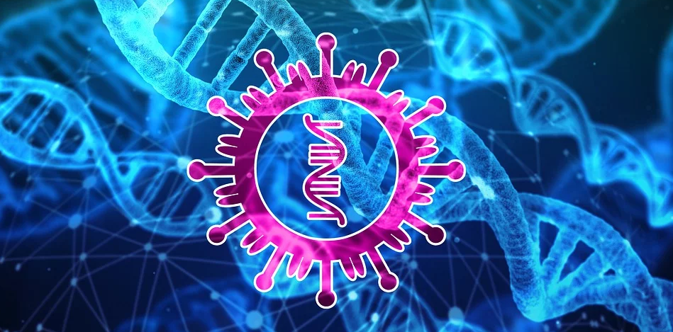 Coronavirus. Un cas signalé à Disneyland Paris, le parc reste ouvert