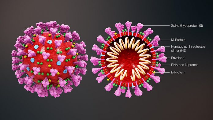 Coronavirus : le bilan s'alourdit à 127 morts et plus de 5400 cas en France