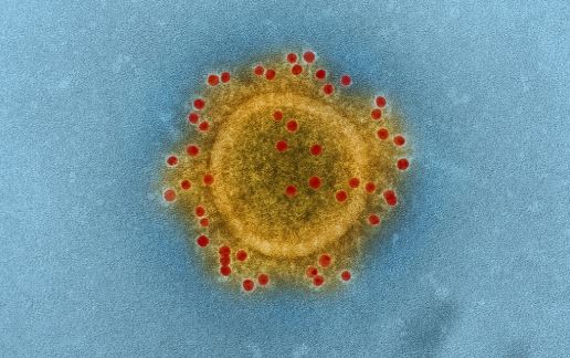 Le coronavirus pourrait se «réactiver» chez les patients guéris, selon le Centre coréen pour la prévention et le contrôle des maladies