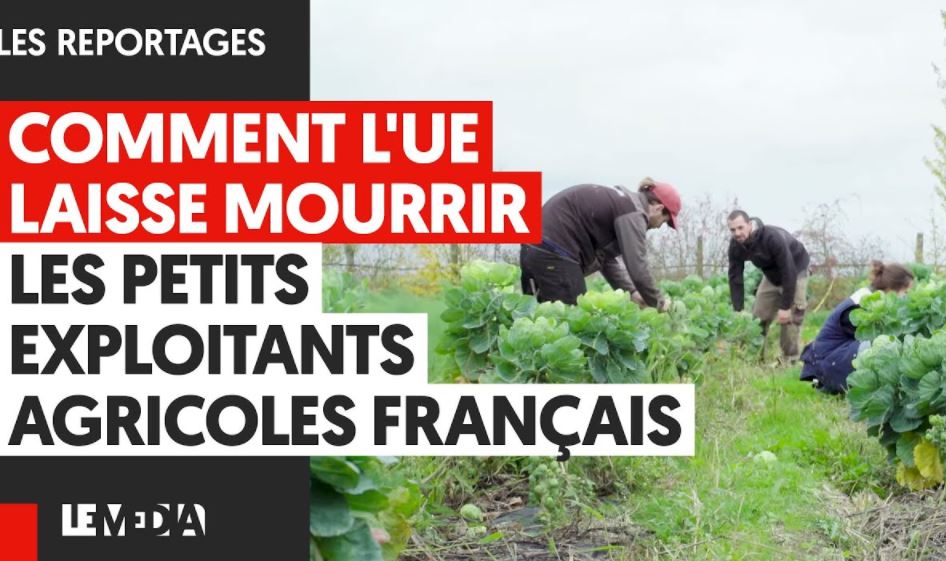 Comment l’Union Européenne laisse mourir les petits exploitants agricoles Français (Vidéo)