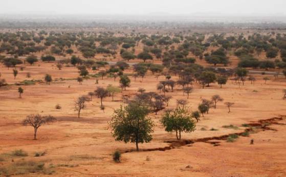 Sahel: rien ne va plus pour la France