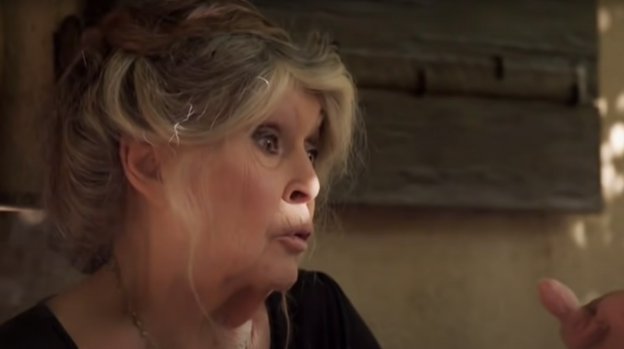Brigitte Bardot adresse une lettre ouverte à Emmanuel Macron : "le Poutine de la nature et des animaux, un destructeur sanguinaire méprisable et méprisé"
