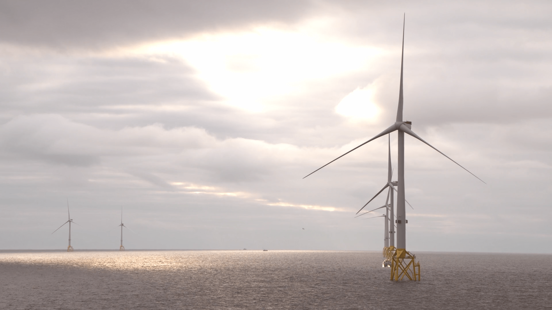 La Société nationale de sauvetage en mer alerte sur les risques autour de l'éolien en mer