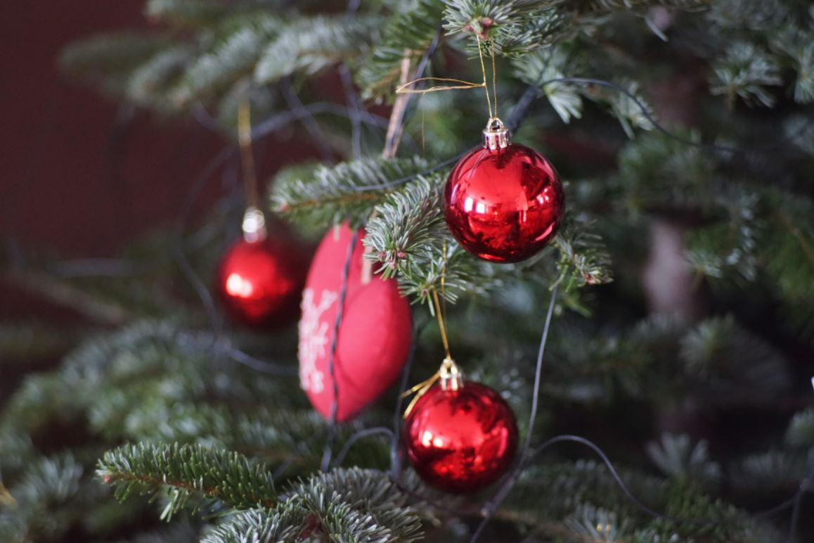 Le prix des sapins de Noël va augmenter de 10 à 15 % cette année, selon le président de l'Association française du sapin de Noël naturel