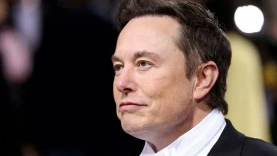 Elon Musk met à la porte toute l'équipe chargée de redresser Twitter, dont la créatrice de l'abonnement Twitter Blue