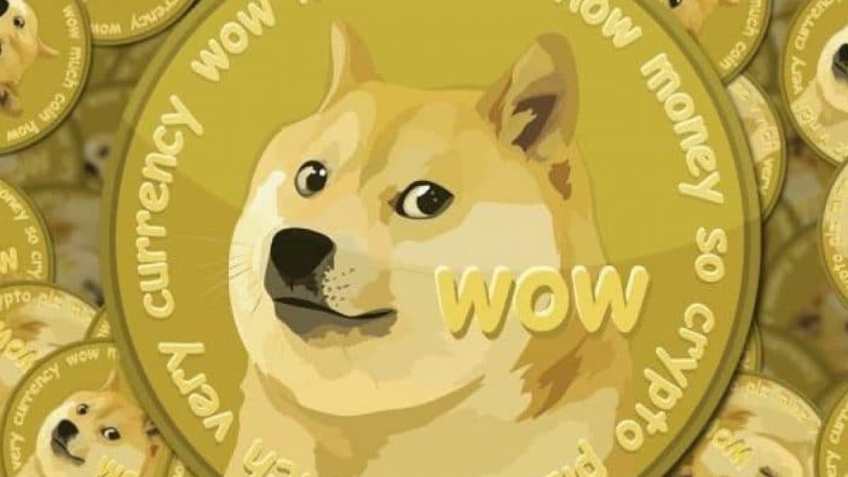 Elon Musk remplace l'oiseau bleu de Twitter par le Dogecoin