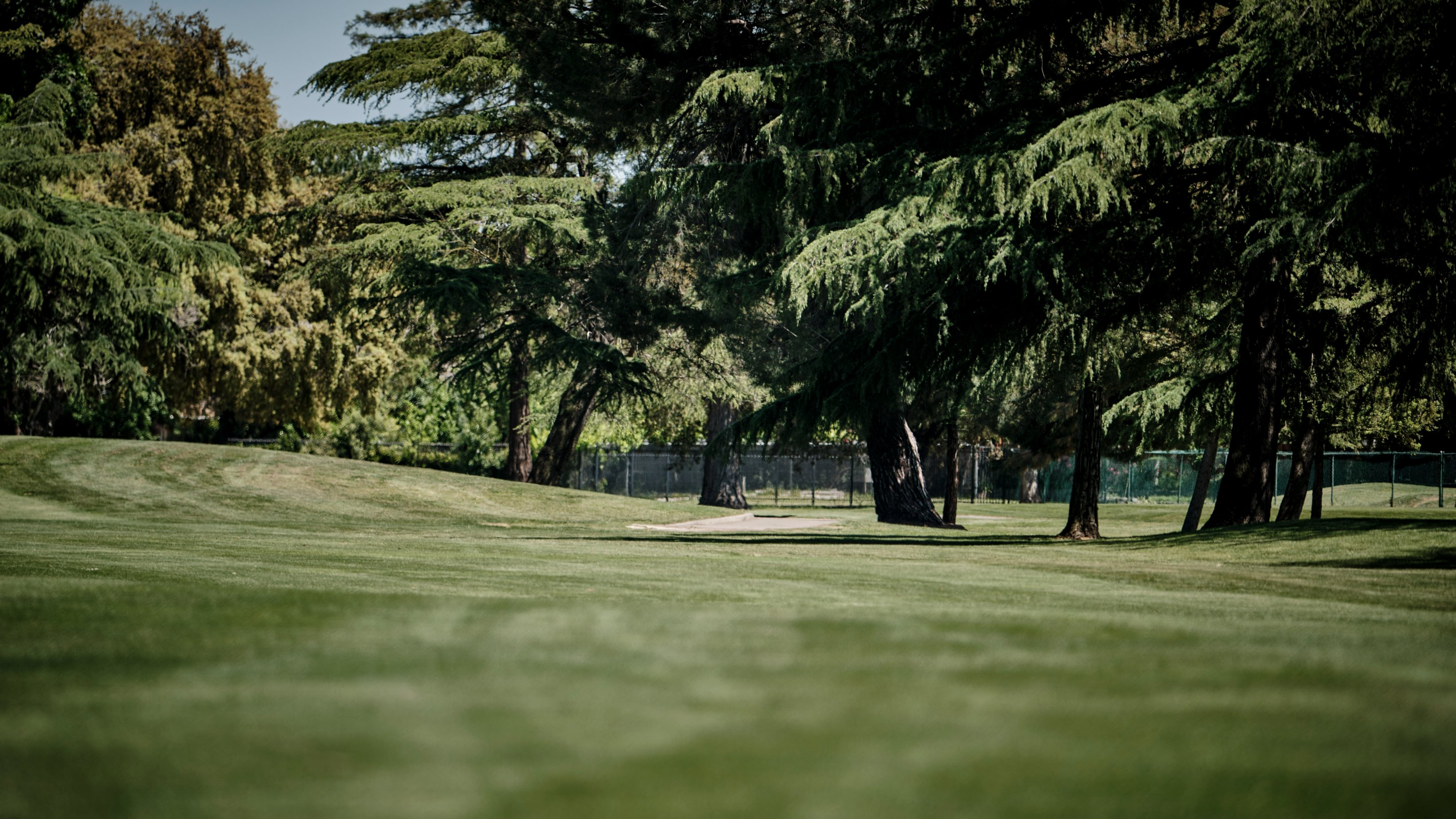 Un transgenre interdit de compétition de disc golf aux Etats-Unis
