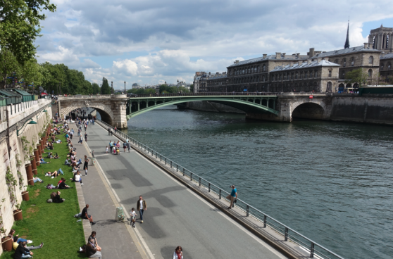 JO Paris : Après 1,4 milliard d’euros d'investissement, la Seine reste impropre à la baignade en raison des récents pics de pollution causés par des bactéries d’origine fécale