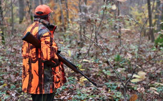 Pas-de-Calais : trois chasseurs violemment attaqués par une soixantaine de migrants