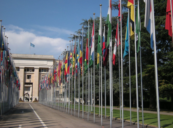 L'Assemblée générale de l'ONU adopte une résolution demandant la fin de l'occupation israélienne des territoires palestiniens dans les 12 mois