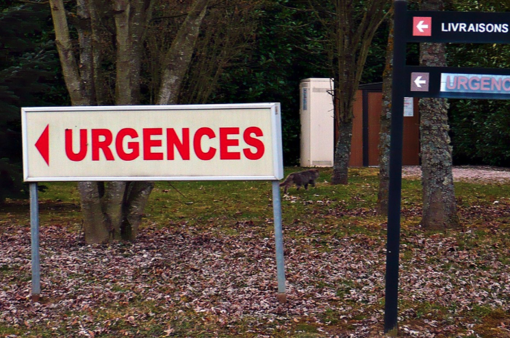 Les agressions contre les médecins ont augmenté de 27 % en 2023