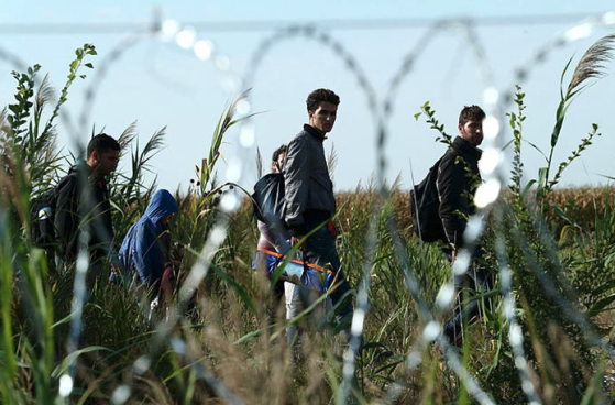 Les Îles Canaries, principale porte d’entrée des clandestins en Espagne, ont enregistré une hausse de 17% des arrivées en 2024, selon le ministère de l’Intérieur espagnol