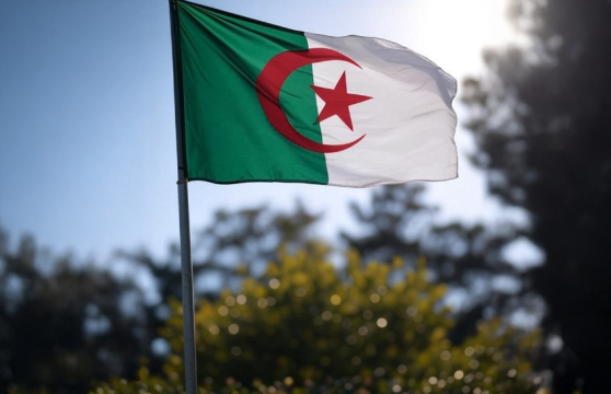 64 % des Français estiment que la France manque de courage face à l’Algérie, selon un sondage