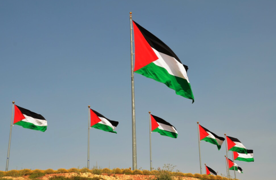 53 % des Français approuvent la reconnaissance de l’État de Palestine, selon un sondage