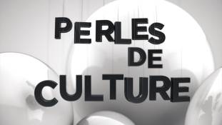 Perles de Culture n°188 : La terreur pendant la guerre d'Algérie