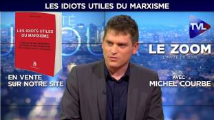 Zoom - Michel Courbe :"Les idiots utiles du marxisme"