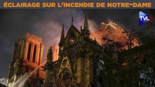 Perles de Culture n°214 : l'éclairage de G. de Thieulloy sur l'incendie de Notre-Dame