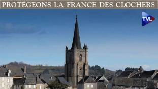 Perles de Culture n°216 - Protégeons la France des clochers