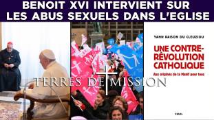 Terres de Mission : Aux origines de La Manif Pour Tous