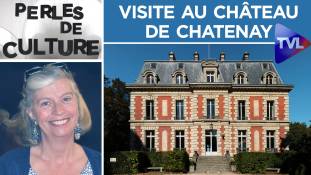 Perles de Culture n°236 : Visite au château de Chatenay