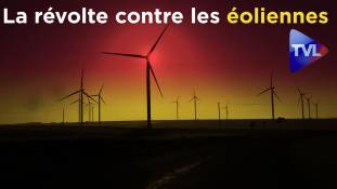 focus-exclusif-la-revolte-contre-les-eoliennes.jpg Focus exclusif : La révolte contre les éoliennes