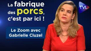 Zoom - Gabrielle Cluzel : La fabrique des porcs, c'est par ici !