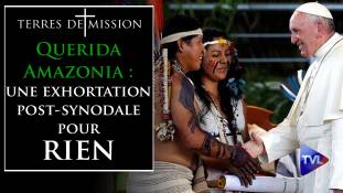 Terres de Mission n°164 - Querida Amazonia : une exhortation post-synodale pour rien