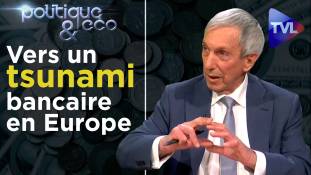 Politique & Eco n° 254 : Vers un tsunami bancaire en Europe