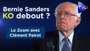 Zoom - Clément Pairot : Bernie Sanders KO debout ?