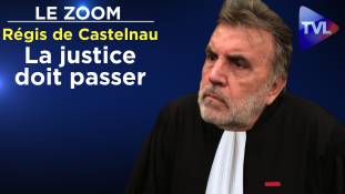 Zoom - Régis de Castelnau : Face à l’incurie du gouvernement, la justice doit passer