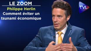 Zoom - Philippe Herlin : Comment éviter un tsunami économique