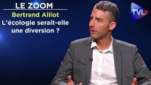 Zoom - Bertrand Alliot : L'écologie serait-elle une diversion ?