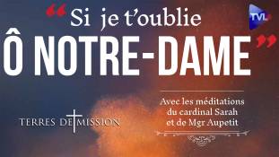 Terres de Mission n°169 - Notre-Dame : n'oublions pas !