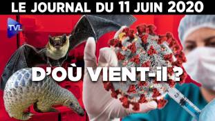 Covid-19 : Laboratoire ou pangolin ?  Journal du jeudi 11 juin 2020