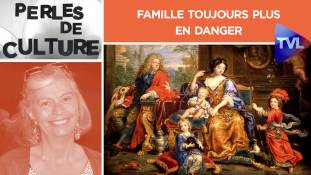 Perles de Culture n°258 : Famille toujours plus en danger