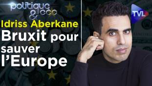 Politique & Eco n°263 avec Idriss Aberkane : L'union des souverainistes ou la guerre civile ?