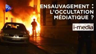 I-Média n°311 – Ensauvagement : l'occultation médiatique ?