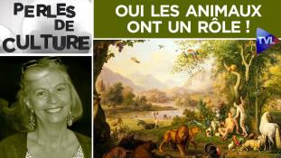 Perles de Culture n°263 : Oui les animaux ont un rôle !