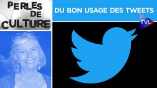 Perles de Culture n°264 : Du bon usage des tweets