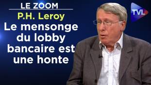 Zoom - Pierre-Henri Leroy - Système monétaire : les banksters en prison !