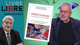 Livre-Libre avec Eric Vieux de Morzadec - Guerre de Sécession : Des Français du côté des confédérés
