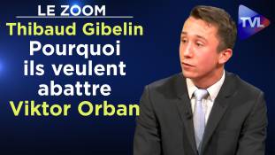 Zoom - Thibaud Gibelin : Pourquoi ils veulent abattre Viktor Orban