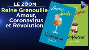 Zoom - Reine Grenouille : Amour, Coronavirus et Révolution !