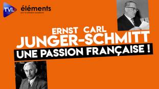 Ernst Jünger et Carl Schmitt : une passion française