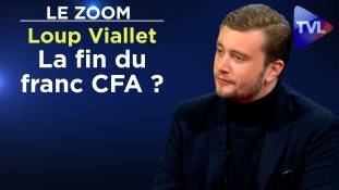 Zoom - Loup Viallet : La fin du franc CFA ?