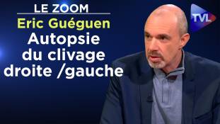 Zoom - Eric Guéguen : Autopsie du clivage droite / gauche