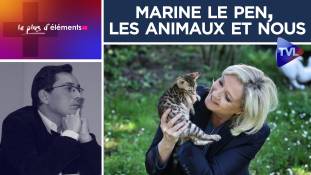 Le Plus d’Éléments #18 : Marine Le Pen, les animaux et nous