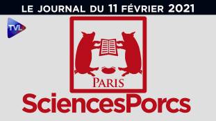 Sciences Porcs : l'héritage de 68 - JT du jeudi 11 février 2021