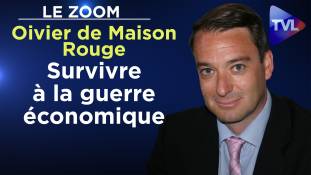 Zoom - Olivier de Maison Rouge : Survivre à la guerre économique